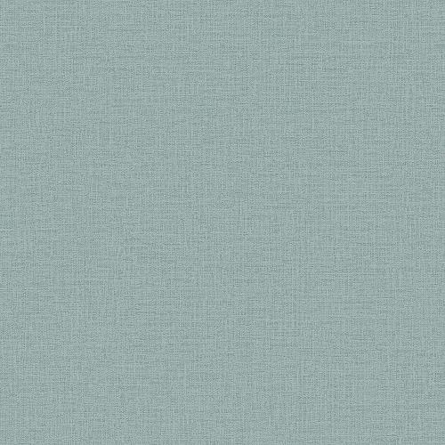 RGI1008-11