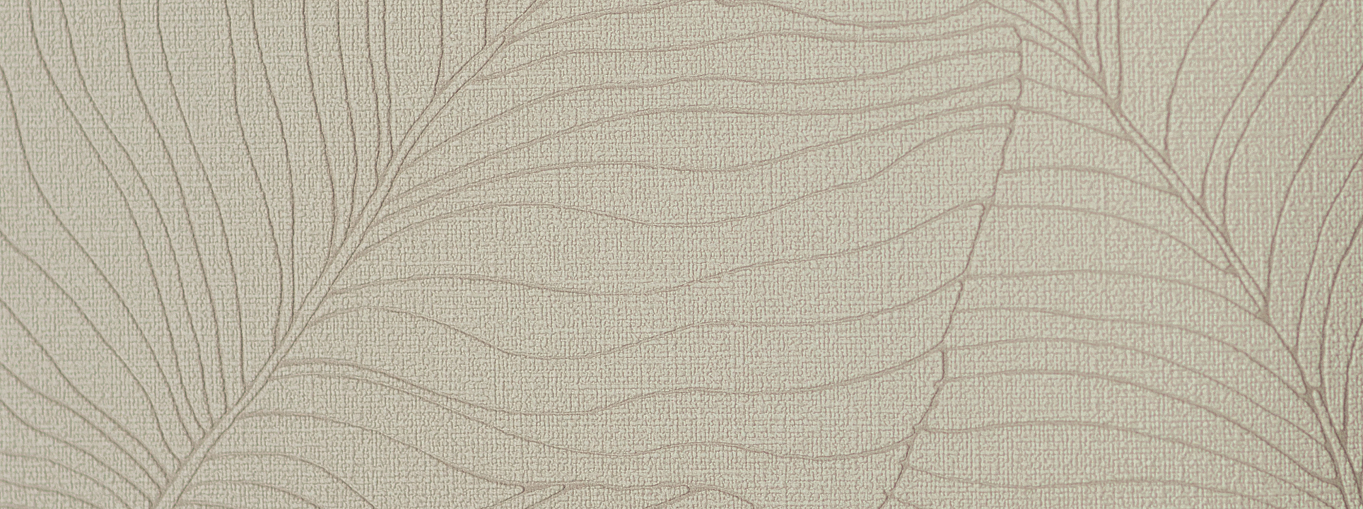 Изображение Andrea Rossi Palmaria 54464-2