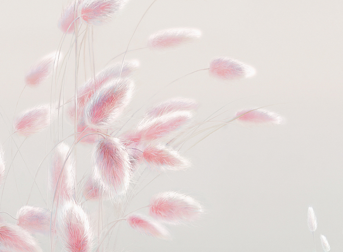0032-A_fragment_0