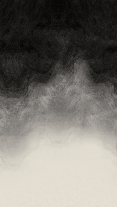 79239-6 Панно AS Creation 159*280, Облачная вуаль черная