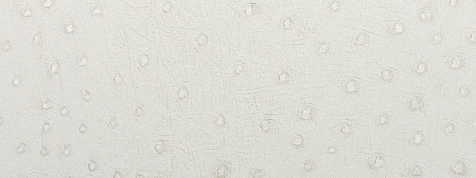 Изображение Rasch African Queen III 751536