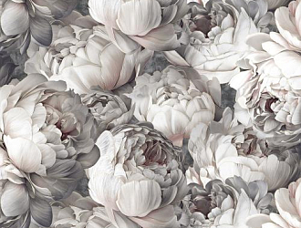 Victoria Stenova Peony 585339