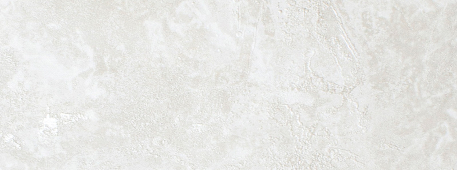 Изображение Rose Фортуна 99810