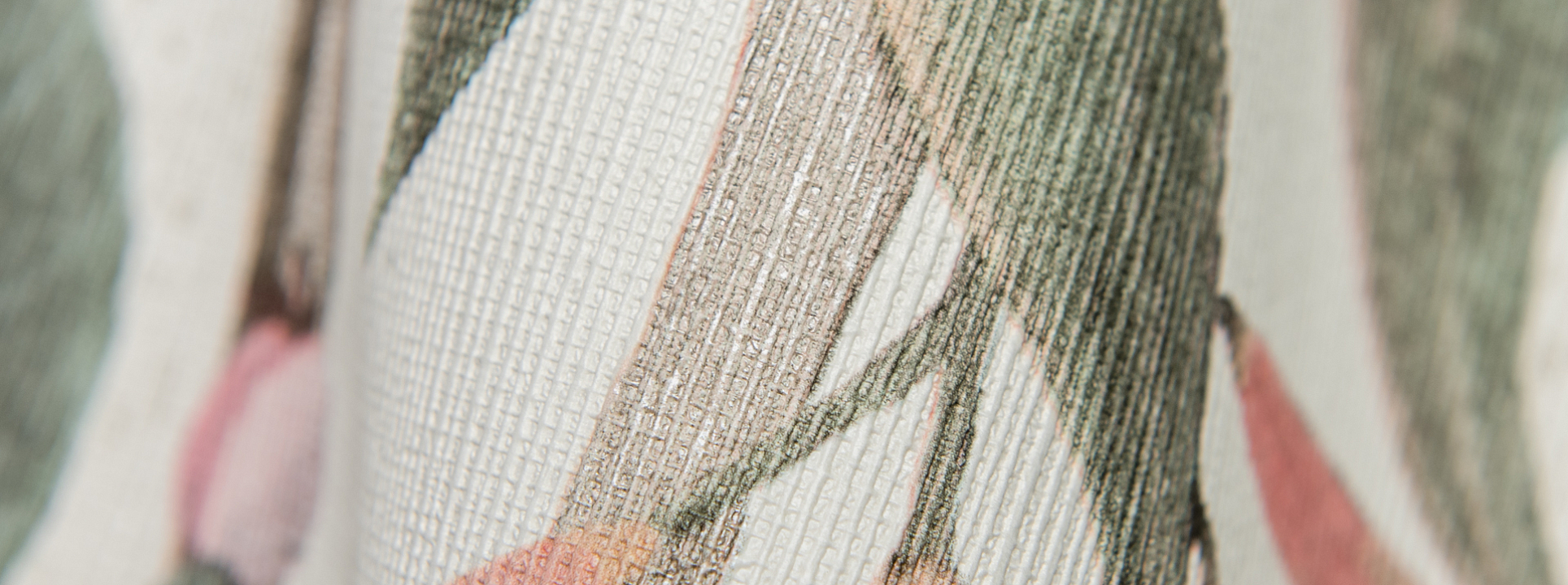 Изображение Rasch Curiosity 538212