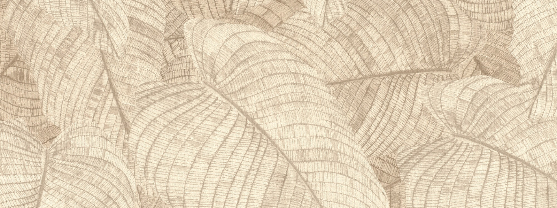 Изображение Rasch Amara 720556