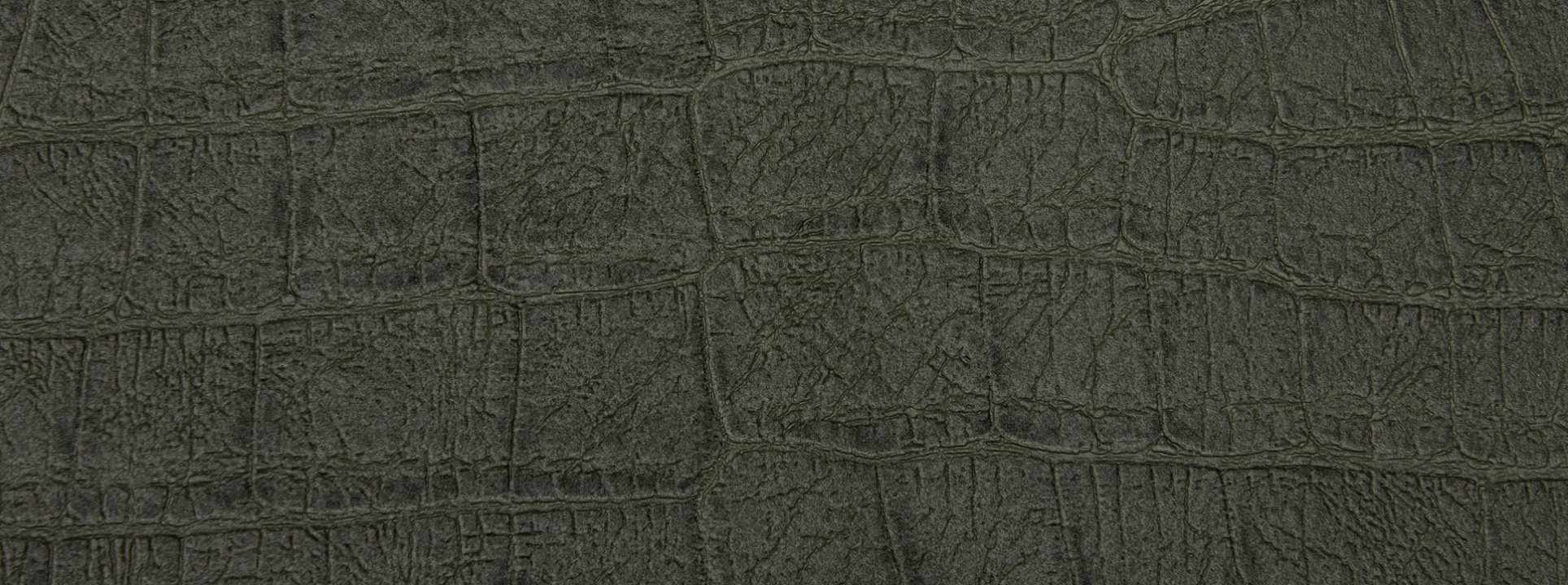 Изображение Rasch African Queen III 751352