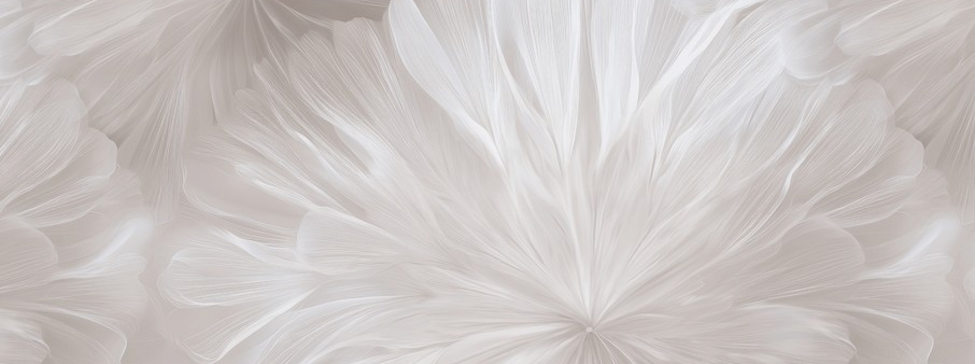 Изображение Erismann Stephanie 61022-02