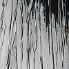 Marburg Crush Motion 63431 — картинка №1