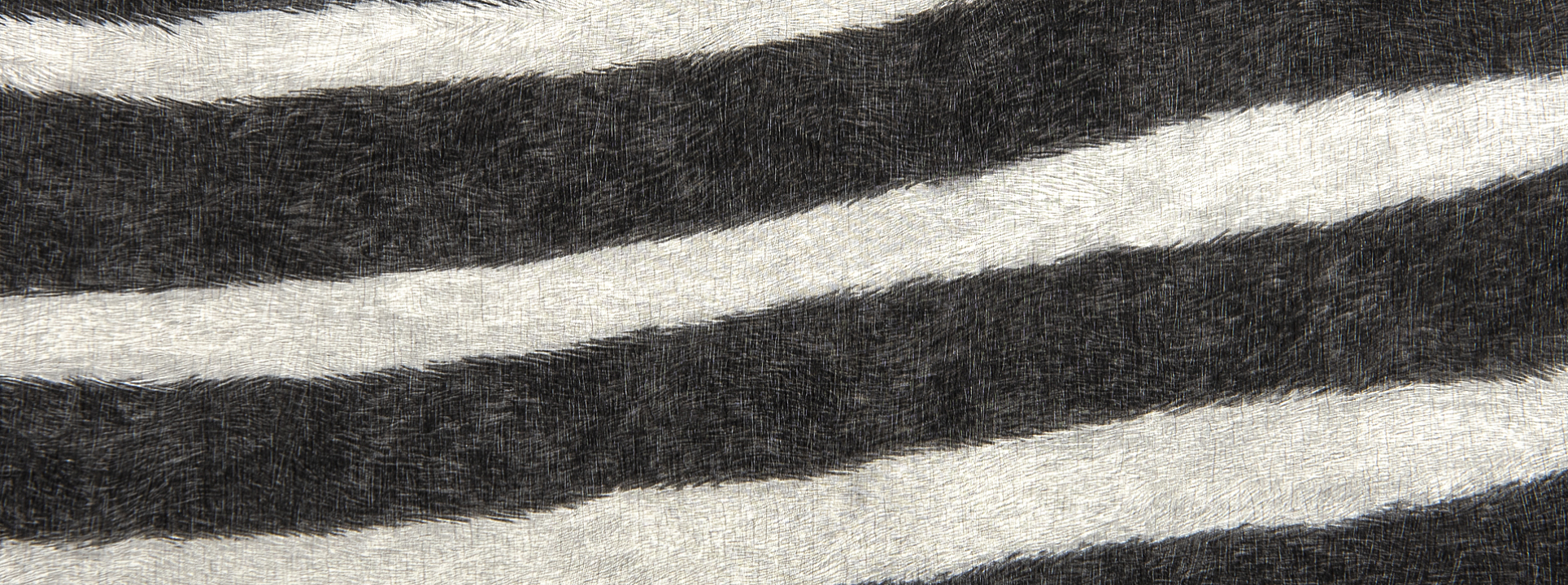 Изображение Rasch African Queen III 751727