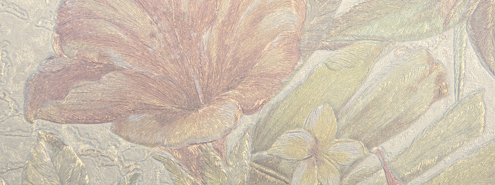 Изображение Zambaiti Philipp Plein 80015