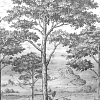 Панно Grandeco 56702 A — картинка №1