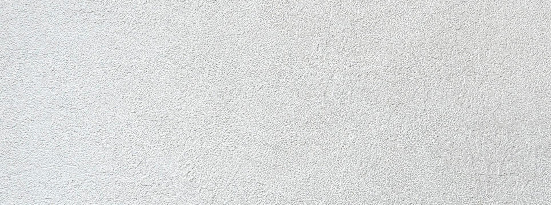 Изображение Alessandro Allori Bodega 2404-2