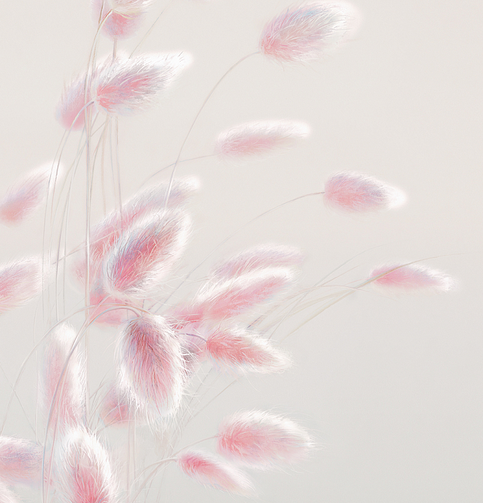 0032-A_fragment_1